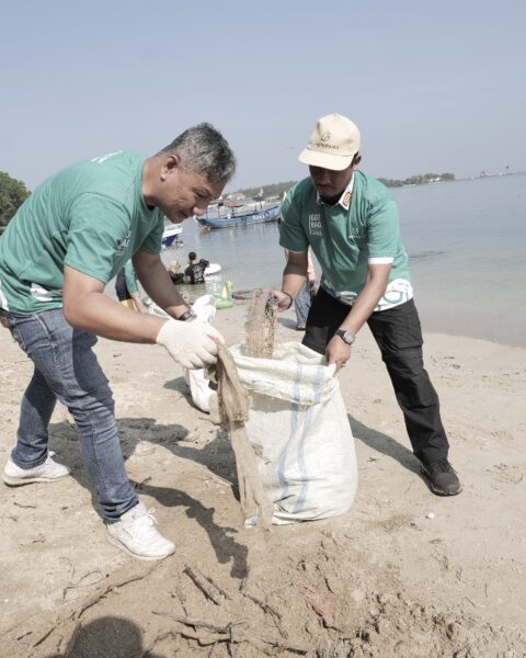 Beach clean up
